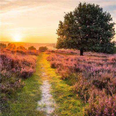 Bob体育综合APP下载客户端